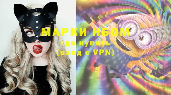 PSILOCYBIN Алзамай