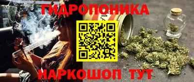 бошки Краснодар