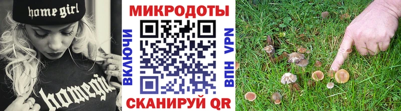 Галлюциногенные грибы мухоморы  наркотики  Куйбышев 