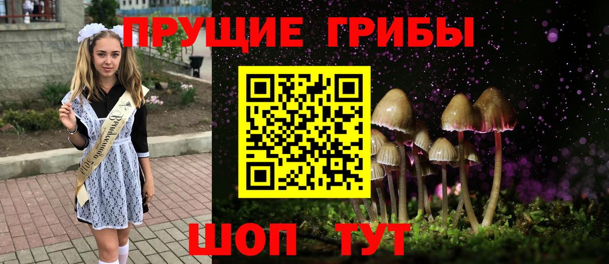 Галлюциногенные грибы MAGIC MUSHROOMS Куйбышев