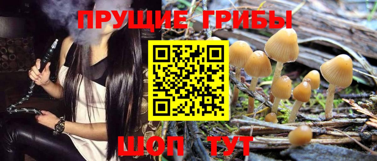 Куйбышев  Псилоцибиновые грибы прущие грибы  Вход с VPN 